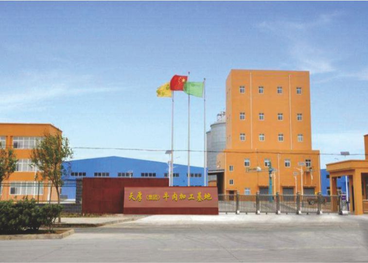 魯西黃牛養殖基地